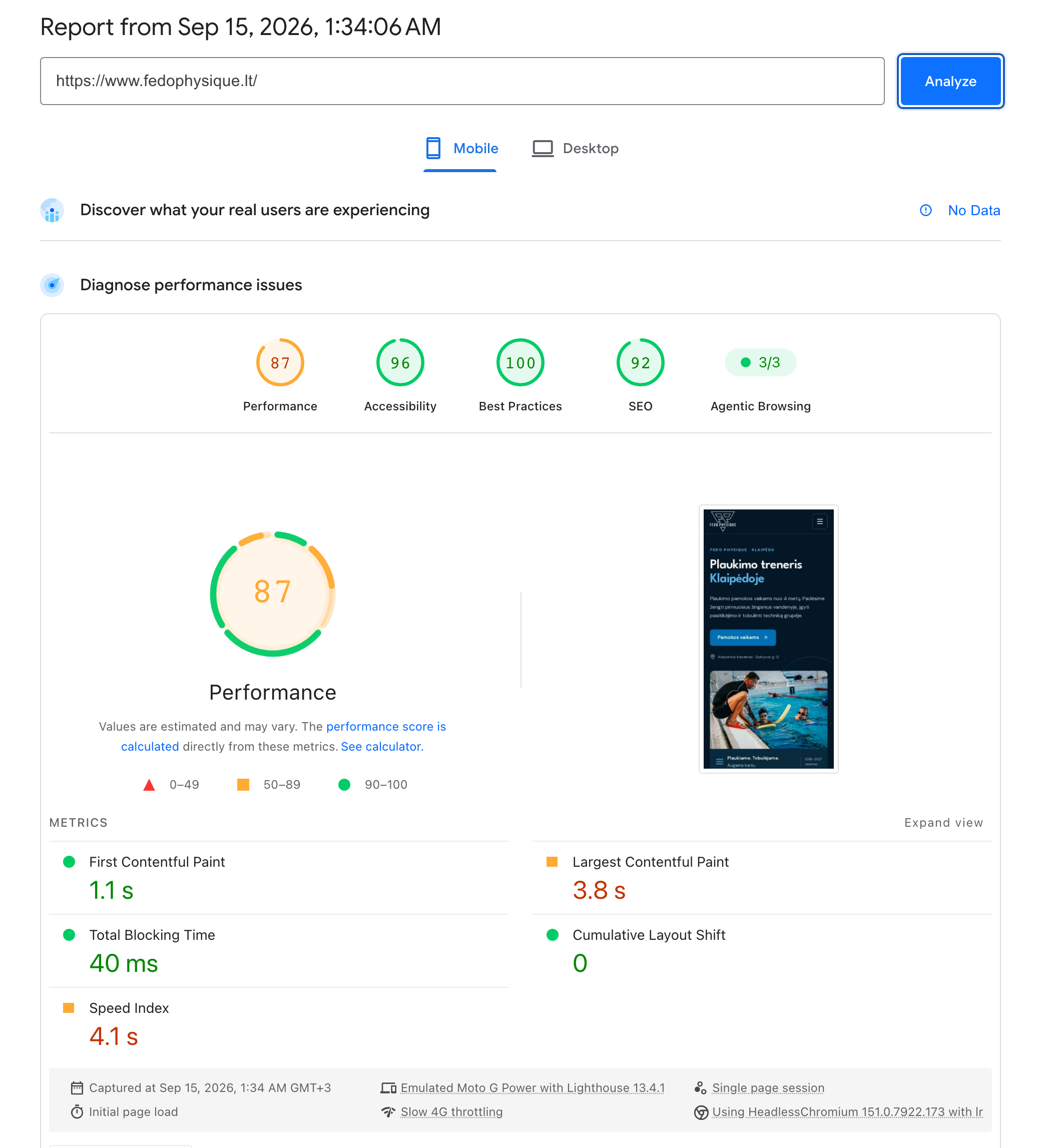 Google PageSpeed Insights results for the Fedo Physique website: Mobile